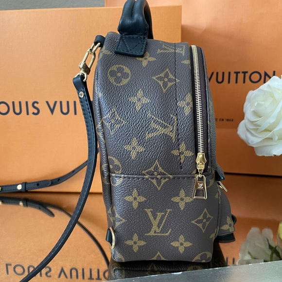 Louis Vuitton Palm Springs Mini - Picture 10 of 16